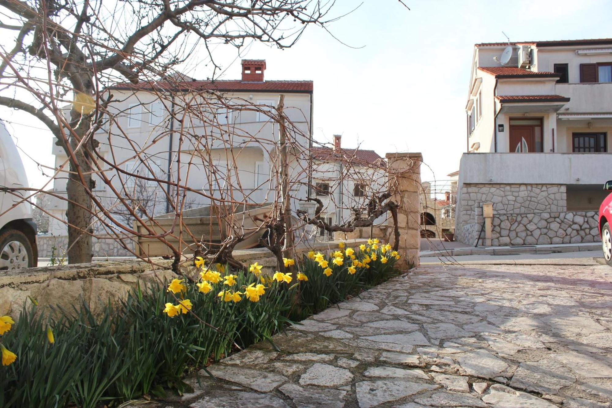 Apartments Vitkovic Cres Kültér fotó
